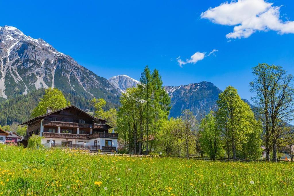 Bergidyll Top 1 Gartenwohnung รัมเซา อัม ดาคชไตน์ ภายนอก รูปภาพ